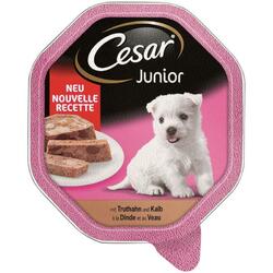 Cesar Junior Truthahn & Kalb in Pastete | 14 x 150g Hundefutter