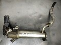 9C1Q9D475AB egr ventil für FORD TRANSIT CAJA CERRADA 06 2.4 TDCI CAT 2006 381167