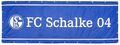 FC Schalke 04 Balkonfahne Fahne Balkonbespannung Sichtschutz Fahne Balkon S04