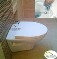 WC Toilette hängend wandhängend Spülrandlos CLEAN ON Tiefspüler SOFT CLOSE P