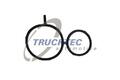 TRUCKTEC AUTOMOTIVE Steuergehäusedichtung 08.10.059 für BMW 3 Touring (E91)