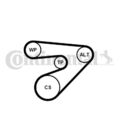 Keilrippenriemensatz Continental CTAM 6PK1453K2 für SEAT SKODA VW