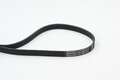 CONTINENTAL CTAM Keilrippenriemen 6PK1080 für AUDI VW SKODA PEUGEOT BMW GOLF A4