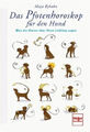 Das Pfotenhoroskop für den Hund|Maja Byhahn; Maya Byhahn|Gebundenes Buch|Deutsch