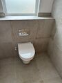 Toilette CF Wandhängung Toilettenpfanne und Sitz von TOTO TO.CW132Y + TO.VC130U10
