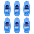 PAGLIERI Felce Azzurra Shampoo Haarshampoo 6x 400ml 