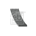1x Keilrippenriemen FEBI BILSTEIN 38425 passend für FIAT MITSUBISHI OPEL
