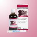 PULMO ALFA für Hunde und Katzen 100 ml