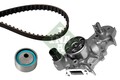 INA 530 0182 30 Wasserpumpe + Zahnriemensatz für Renault