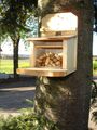 Eichhörnchen Futterhaus-Futterstation-Futterautomat mit Leinöl behandelt