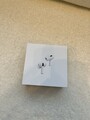 Apple AirPods Pro (2. Generation) mit MagSafe Ladecase (USB-C)