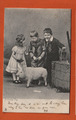1904 Tuck Postkarte, Glücksschwein, Das Haustier der Kinder