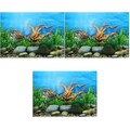 3 Pieces Aquarium-Hintergrundaufkleber Für Aquariumdekorationen Klein