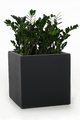 Blumenkübel Pflanzkübel Pflanzgefäße Fiberglas Block Anthrazit 50 x 50 x 50cm