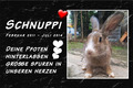 Tiergrabstein Grabstein TEXT FOTO Farbig Gedenktafel Gedenkplatte Hund Hase 