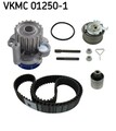 SKF Wasserpumpe + Zahnriemensatz VKMC 01250-1 für AUDI VW A3 SEAT A4 SKODA A6 B7