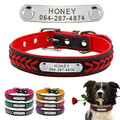 Hundehalsband mit Namen Personalisiert Leder Geflochten Halsband Namen Gravur 