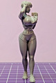 Vera the Handy Girl Babe etc 1:16