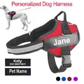 No Pull Hundegeschirr für Welpen, weich gepolstert, stark, verstellbar, reflekti