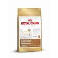 Royal Canin Labrador Retriever Adult Futter für Labradore