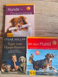 3 Hundebücher/Ratgeber Hunde Cesar Millan Spielen Clickertraining....