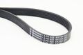CONTINENTAL CTAM 6PK922 EXTRA Keilrippenriemen für AUDI
