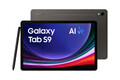 Samsung Galaxy Tab S9 256GB WiFi Graphite Tablet (11 Zoll) #1907577