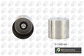 BGA HL7360 Ventilstößel für DACIA MERCEDES-BENZ MITSUBISHI OPEL RENAULT