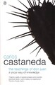 Die Lehren des Don Juan: ein Yaqui-Weg der Erkenntnis - NEU Carlos Castaned 1990