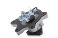 ASHIKA 35-02-267 Kühlmittelpumpe Wasserpumpe für TOYOTA Yaris Schrägheck (P9)