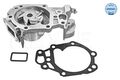 Wasserpumpe Meyle 16 13 220 0021 für DACIA  passend für NISSAN RENAULT