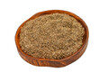 Anhaltiner Rasensaat Berliner Tiergarten 2,5kg Saatgut Universalrasen Gras
