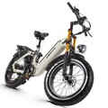 eBike Vollgefedert Elektrofahrrad 25km/h E Mountainbike 48V 20Ah Trekking ebike