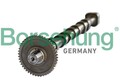 Nockenwelle für Audi Skoda VW Seat TT Roadster Q3 Borsehung B18980 2004 - 2018
