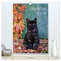 COUNTRY CATS (hochwertiger Premium Wandkalender 2024 DIN A2 hoch), Kunstdruck...