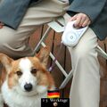 Automatisch ausziehbare Hundeleine Mit Licht Funktion  5m 60kg