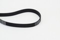 CONTINENTAL CTAM Keilrippenriemen 6PK1660 für BMW CITROËN PEUGEOT RENAULT FIAT