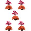  5 Pack Korallenriff-Ornamente Aquarium Landschaftsgestaltung Dekoration