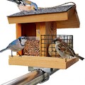 STAFECO Vogelfutterhaus Vogelhaus für Balkon wetterfest Futterhaus Handarbeit...