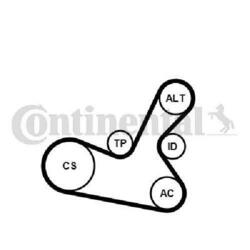 Original CONTINENTAL CTAM Keilrippenriemensatz 5PK1300K1 für Audi Skoda VW