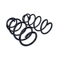 2x Fahrwerksfeder MAXGEAR 60-1255D passend für VW