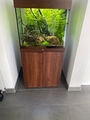 Aquarium JUWEL 120 Liter mit Unterschrank und Technik - ähnlich dem LIDO