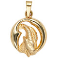 JOBO Anhänger Sternzeichen Steinbock 375 Gold Gelbgold matt Sternzeichenanhänger
