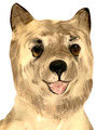 Royal Doulton Cairn Terrier Hundefigur 2589p