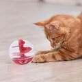 Katzenleckerbissenball Kauen Spielzeug Katze interaktives Spielzeug für Innenräume kleine/große Rassen