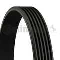 CONTINENTAL CTAM - 6PK1767 - Keilrippenriemen
