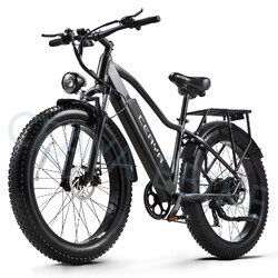 26 Zoll Elektrofahrrad City eBike Off-Road E Mountainbike 48V20AH Fat Tyre ebike