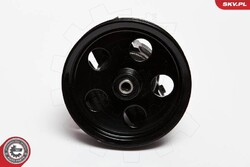 ESEN SKV Hydraulikpumpe, Lenkung 10SKV067 für FORD