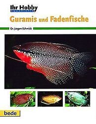 Guramis und Fadenfische, Ihr Hobby von Jürgen Schmidt | Buch | Zustand sehr gutGeld sparen & nachhaltig shoppen!
