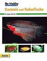 Guramis und Fadenfische, Ihr Hobby von Jürgen Schmidt | Buch | Zustand sehr gut